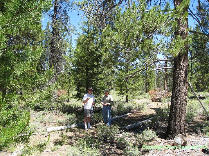 Picture 006.jpg - N7DS Jeff and NE7D Rock Putting up full size loop in trees